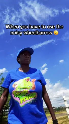 It feels so embarrassing pushing around a noisy wheelbarrow while everyone stares at you 😳 #fyp #horse #horses #horsesoftiktok #horsetok #horsebackriding #horseriding #equestrian #farmlife #funnyvideos #funnyshit  