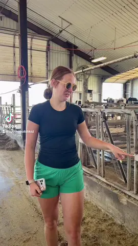 When out of state students come to Platteville #cow #fyp #uwp #like #follow #viralpost #farmin #wisconsin #collegelife #platteville #studentsbelike 