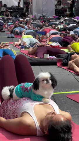 The sun has set on the longest day of the year, and on the 21st Annual Solstice in Times Square🧘‍♀️🧘🏾 #NYC #TimesSquare #yoga #Solstice #SolsticeTSQ 