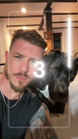 We’re a packaged deal 👊😎#gtacharacter #dogsoftiktok #dope