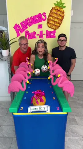 New Flamingo fun carnival game for you and your family Part 1 #game #flamingo #foryou #forfun #familygame #family #viral #friends #tiktok #fyp