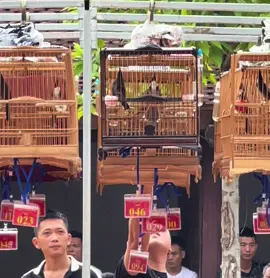 Xoè coc quyết k để tiền rơi 😂 5 ngày 2 trận lại nhặt tốp sbd 029 nghỉ ngơi cho trận đánh tới ! Hy vong sớm bén duyên ck 