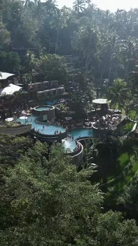 relax in a quiet and peaceful ambience make your day more excited. Open Daily : 8AM - 9PM For Booking : +62 81238021174 #NatureIsCalling #JunglePoolGoals #OffTheBeatenPath #GreenOasis #cretyaubud #explorebali #bali #ubud #dayclubinbali #ubudlife #balidaily #alasharumbali #cretyalite #exploreubud #cretyasunset #unforgettableadventure #memoriesforlife #vacationvibes 