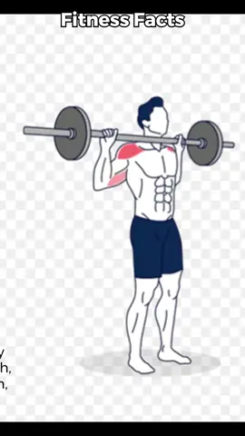 Fitness Facts- Military Press #motivation #health #strength #Fitness #workout #militarypress Https://direct.me/smartphysicalworkout