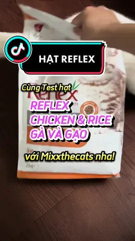 #ASMR Híu và một ngày bận rộn với hạt Reflex 🫶🏻🫶🏻 #GocLamDep #baosalemuahe #mèo #xh #mixxthecats 