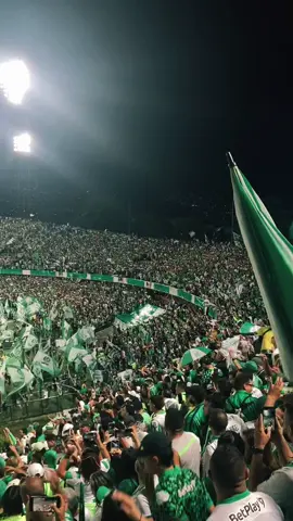 Vamos Verde, tenemos con qué pelearlo🫡💚