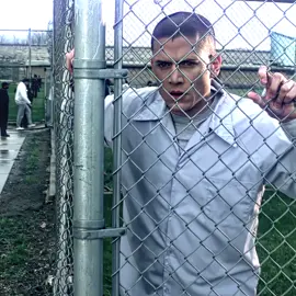 Michael Goatfield 🐐 //(scp:@zane) #prisonbreak #michael #scofield #edit #foxriver #sarah #fbi #haywire #foryou #viral #fyp 