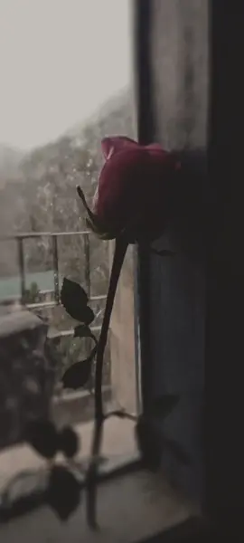 Temporal de amor 🎶 #leandroyleonardo 😌🎧🍃🩷🍃🫶 #musicaromantica #tbt #oldsmusic #viejitasperobonitas #oldsong #recuerdo #tiktokmusic #musica #Clau🍃🩷🍃 