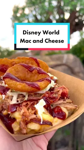 some of my favorite mac and cheeses at disney world! which one am I missing? #wdw #disneyadult #orlandofoodie #disneylife #disneyworldfood #macandcheese #foodreview 