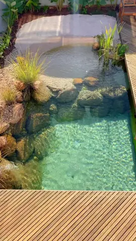 Você sabe como é feito uma piscina natural? #vida#lagos#piscinanatural#jardim #casa#paisagismoejardinagem#piscinabiologica#decoraçãodejardim#piscina#praia