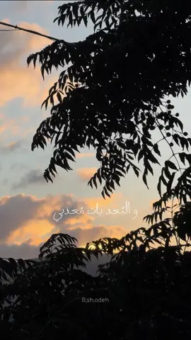 قمري الشهيد 😔🤎..  •• #جنين #فلسطين #مخيم_جنين #fypシ #explore 