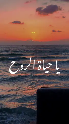 #يا_حياة_الروح #يا_حياة_الروح_قلبي_ماذوق_النوم💔😔 