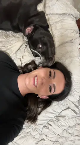 he wants the 411 #dogsoftiktok #bellawherethehellhaveyoubeenloca 