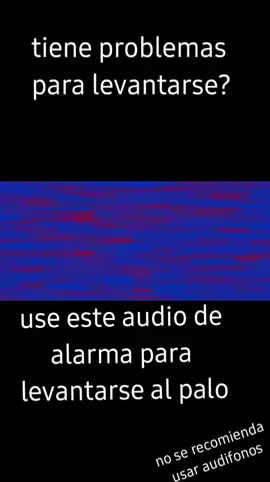 #audiosaturado #foryou #viralvideo #paratii #fypシ #fypシ #pommeenparati #graciasporelapoyo 