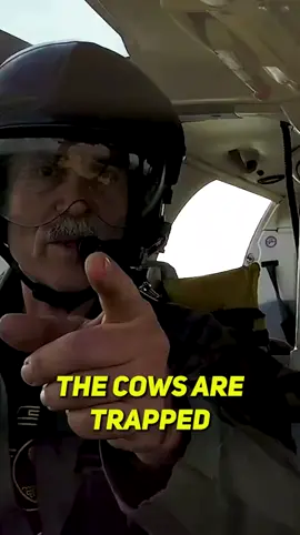 How to Be a Lava Cowboy  Listen to my interview with Jake Muise of Maui Nui Venison: tim.blog/podcast #hawaii #mauihawaii 