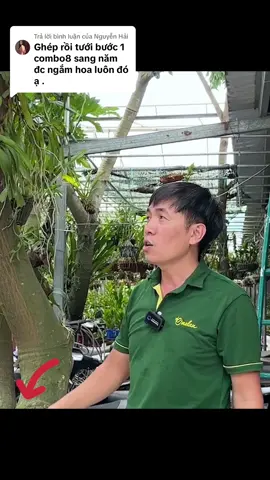 Trả lời @Nguyễn Hải  chuẩn em nhé, ghép lan lên cây xong rồi tưới bước 1 của Combo8 để cây ra rễ, ra mầm, đi ngọn #combo8 #cachtronglan #lamvuon #hoalan 