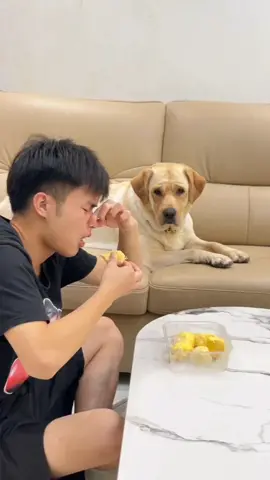 thối hơn của tao rùi Sen ơi 😂😂😂 #xuhuong #funnyvideos #trend #dog #dogsoftiktok #❤️❤️❤️ #FoodFestonTikTok #thuvienmakeup #GocLamDep 