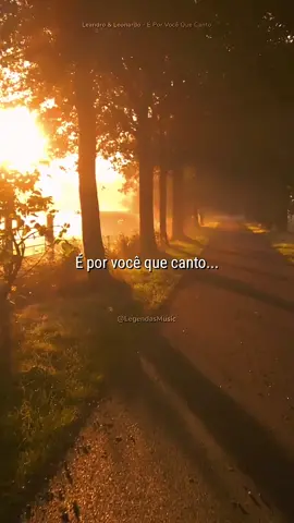 Música linda inesquecível 🎶 // #leandroeleonardo #eporvocequecanto #nostalgia #goodvibes #legendasmusic 