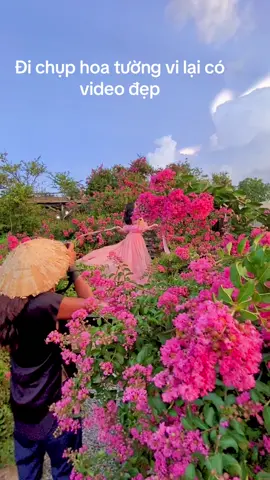 Đi chụp hoa tường vi lại có video đẹp#GocLamDep #thuvienmakeup #cổtranghoangữ #chụp_ảnh_đẹp 