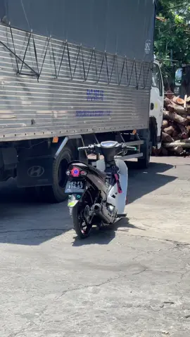 Nhìn nhỏ quá ae 😆 #siriusđộkiểng #sirius83 #xuhuongtiktok #xuhuong #sirius #83soctrang #thưởngalee💎 #siriustrangden #siruskiểng 