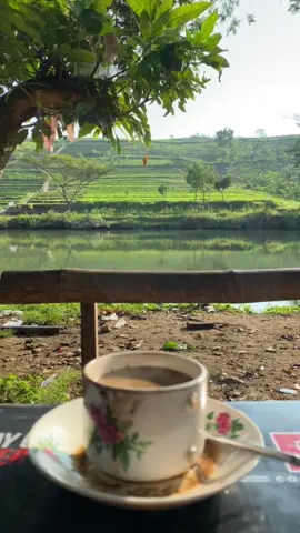 Inpo pergerakan #ngopi #sawah #gunung 
