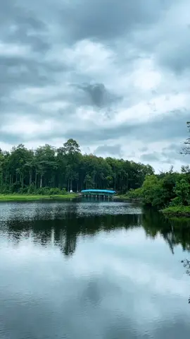 #betana #betanawetland #belbari #sushantkc #sarangi #tiktok #nepalitiktok #viral #fyp #nature 