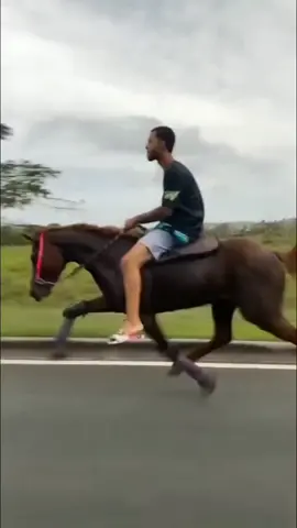 He not galloping he running😂😂#andaduraisla🇵🇷 #horse #viral #foryoupageofficiall #talkinghorse #horse #horsesoftiktok #funny #singinghorse #audition #cowboy #horses 
