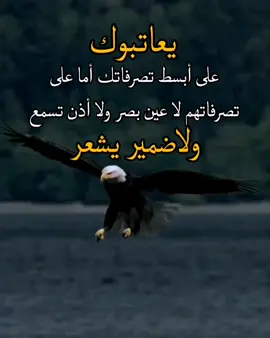 #الغريب🦅🦅 #عبارات_تلامس_قلبك #سندالوحيد #محمد_ال_حسن #CapCut #مشاهير_تيك_توك 