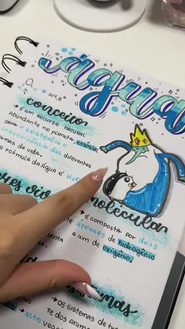 #cadernobonito #cadernoorganizado #foryoupage 