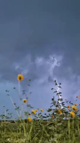 Raios e Trovões ⚡ #storm #lightning #relax 