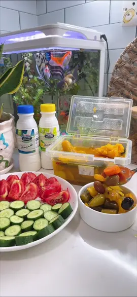 الغدة يوم الجمعة ❤️ سوو منشن للي تحبون تكعدون وياه ع هيج سفره طريقه الزوري (سمك بياح خشن مابي عظام) انظفه ارش عليه ملح.. بالطاوة اخلي زيت ورشه ملح وكركم  بعدها اهم شي الزوري ناشف من المي اخلي بالطحين واقلي والف عافيه  #اكسبلور #اكسبلور_فولو #اكسبلورر #أكسبلور #اكسبلور_العراق_السعوديه_الاردن_ايران_الكويت_طق_لايكات_كومنت_يلاا💙 #اكسبلور_ضيفونا #اكسبلور_لايك_كومنت_فولو_ي_عسل #اكسبلور_فولو_للبيج❤️ #اكسبلور_فولو_ي_حلو🔥😴#اكسبلورexplore #اكسبلور_تيك_توك #اكسبلورexplore 
