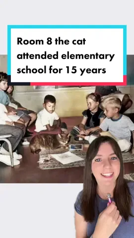 Room 8 the school cat attended Elysian Heights Elementary School in Los Angeles, California, for 15 years starting in 1952. His legacy lives on today and and good work continues to be done in his memory.  📸 A Cat Called Room 8 / FB Photos in this video have been colorized using AI.  #catsoftiktok #catnews #cat #cats #goodnews #positivecontent #losangeles 