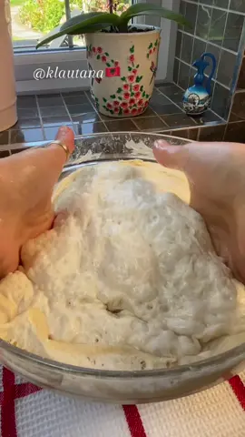 Replying to @Grandma Biko 👵 Receta e bukes sipas fjales👩🏻‍🍳 #🇦🇱 #bread #Recipe 