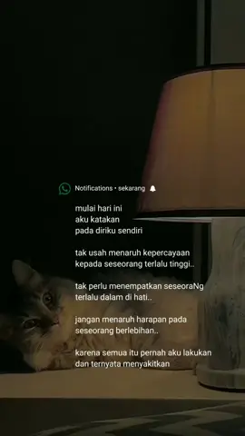 🥺#storywa #sadvibes🥀 #sadvideos😭😭 