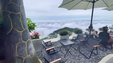 Săn mây Tam Đảo 2023 #sănmấytamđảo #sawamđảo #cổngtrờitamđảo