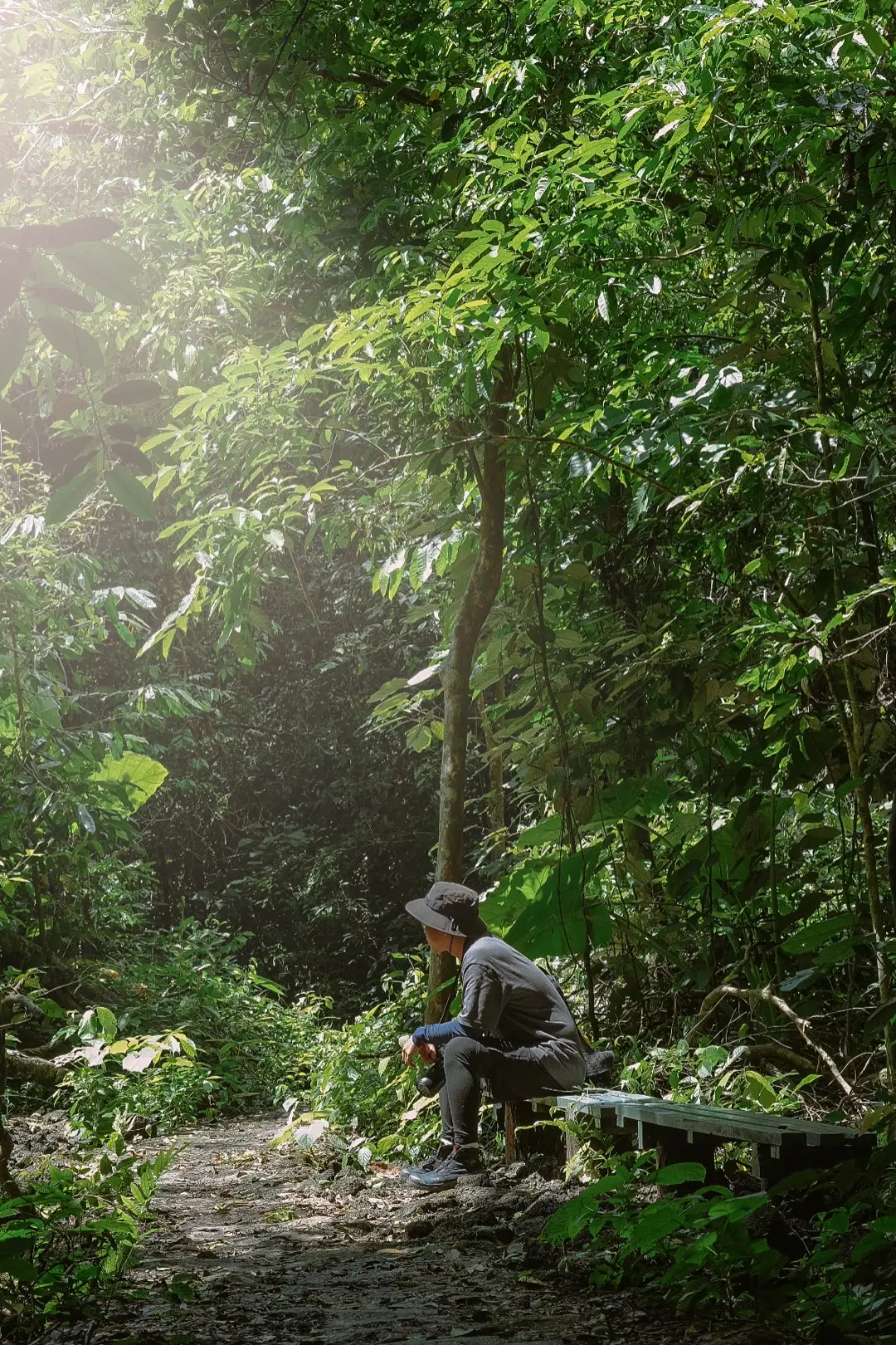 Tắm rừng Nam Cát Tiên #vietnam #namcattien #sontungst #fypシ #trending #photography 