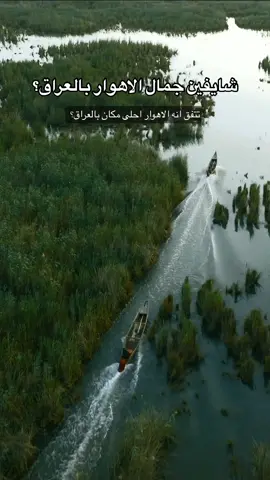 الاهوار بالشتا غير 😍 #العراق #عراق #عراقي #عراقيه #العراق🇮🇶 #الاهوار #اهوار_الچبايش #اهوار #iraq #baghdad🇮🇶 #الشعب_الصيني_ماله_حل😂😂 #الجانب_الاخر_من_العراق #علي_هلال 