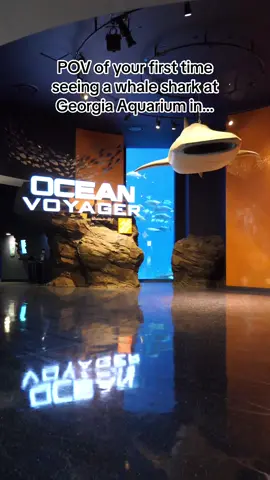 It’s literally magical every time ✨💙 #georgiaaquarium #whaleshark 