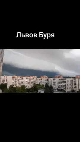 Львов накрыла буря.  Администрация города просит людей держаться подальше от деревьев. #львов #накрыла #буря #администрация #просит #людей #деревья #подальше 