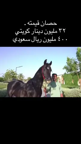خير الخيل الأدهم الأقرح الأرثم، ثم الأقرح المحجل، طلق اليمين، فإن لم يكن أدهم فكميت على هذه الشية #خيل_عربي_اصيل #خيل_عربي_اصيل♥️🐎 #خيل_عربي_اصيل🐎🐎 