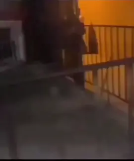 CONSEGUÍ EL VIDEO DE ALVIN EN EL CALLEJÓN JAJAJA 👻#alvinylasardillas #memes #fypシ 