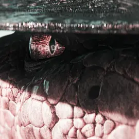 The character development goes crazy 🔥 || ‼️ ALL NEW presets, ccs and quality in bio ‼️ || #rango #rangoedit #rattlesnakejake #johnnydepp #western #nickelodeon #edit #foryou #fyp #viral || ib: @𝐓𝐎𝐌 