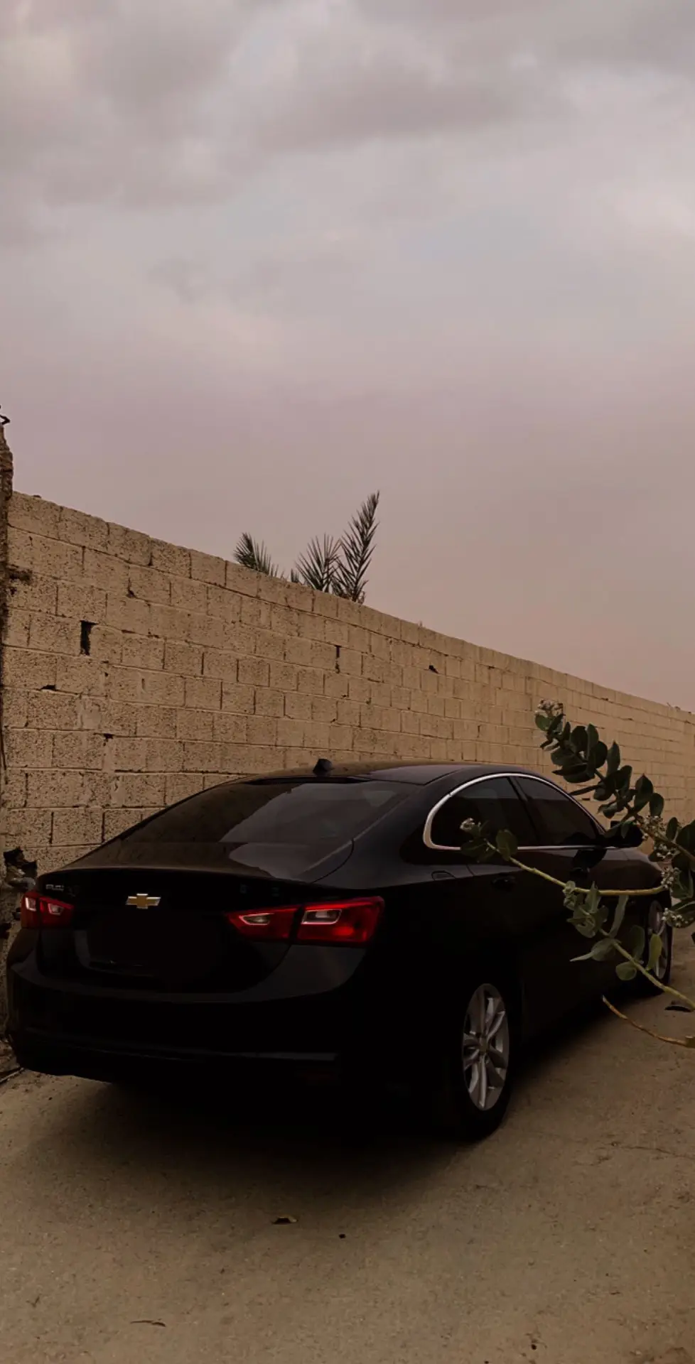 🖤🖤. #اكسبلور #CapCut #ترند #ماليبو #ماليبو2018