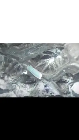 mimpi nya apan ya ,kalo bisa ?🤔 #meme #memestiktok #otakbiru #diluarnalar #funnyvideos #fypシ #fyppppppppppppppppppppppp 