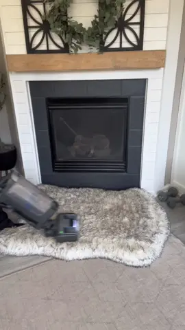 All the hair at the end is only from the downstairs of our house 🙈 #doghair #housecleaning #CleanTok #floorcleaning #dogsoftiktok 