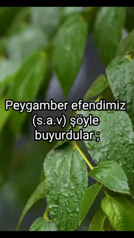 #islam #kesfet #hadis #CapCut #turkey #tiktok 