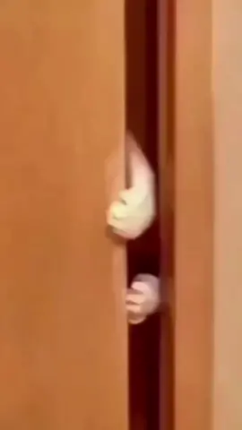 ខ្មេវសាហាវណាស់ 🤧 លួចក្បត់នៅនឹងមុខ 🤣