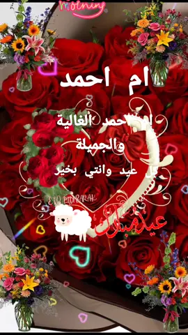 #منشن #ام_احمد #عيد_سعيد #العراق #سوريا #البحرين🇧🇭 #السعودية #سوريا_تركيا_العراق_السعودية_الكويت 