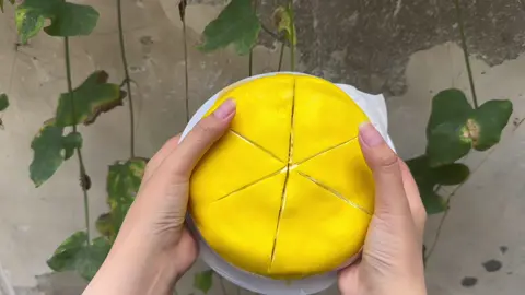 Ở đây e có bán bánh crepe siêu sầu riêng đây ạ🤭, em vàng truyền thống đời đầu của crepe sầu riêng ngàn lớp luôn í, ổ 450g chỉ 135K. Em freeship Long Xuyên. Em có ship lẻ khu vực Châu Thành, Chợ mới, Thốt Nốt (Cần Thơ)#banhcrepesaurieng #banhcrepsaurienglongxuyen #xuhuong #xuhuongtiktok #longxuyen #chomoi #chauthanhangiang #hot #quangcaovietnam #thotnot #vang 