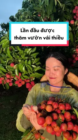 Mê lắm mà đến giờ mới có cơ hội ghé thăm vải thiều Lục Ngạn. Ôi, mê lắm 🤤 #Hanabanme #ancungtiktok #foodfestontiktok #Hellobacgiang #bacgiangdasac #ocop 